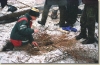 zima_1999_003.jpg