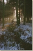 zima_1999_011.jpg