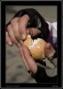 11_cyklovylet_17-4-2010.jpg