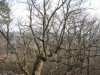 img_3447.jpg