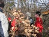 img_3457.jpg