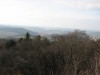 img_3463.jpg