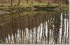 Velikonoce_2001_003.jpg