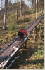 Velikonoce_2001_006.jpg