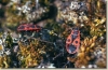 Velikonoce_2002_005.jpg