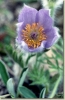 Velikonoce_2002_009.jpg