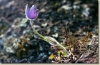 Velikonoce_2002_010.jpg