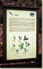 Prvni_vylet_2003_010.jpg
