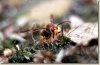 Prvni_vylet_2003_011.jpg