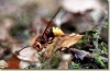 Prvni_vylet_2003_012.jpg