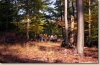 Prvni_vylet_2003_027.jpg