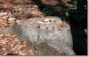 Prvni_vylet_2003_030.jpg