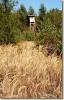 Prvni_vylet_2003_031.jpg