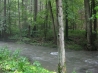 IMG_0484.JPG