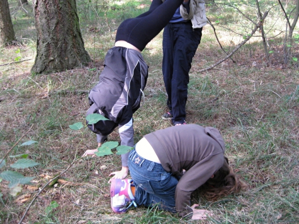 Klikněte pro zobrazení původního (velkého) obrázku