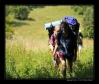 Bukovky2008_048.jpg