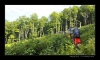 Bukovky2008_055.jpg