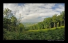 Bukovky2008_056.jpg