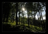 Bukovky2008_057.jpg