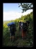 Bukovky2008_058.jpg