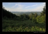 Bukovky2008_060.jpg