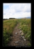 Bukovky2008_126.jpg