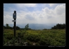 Bukovky2008_129.jpg