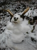 2008_12-(13-14)_Zastavka016.jpg
