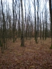 2008_12-(13-14)_Zastavka069.jpg