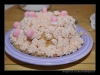 2009-03-28-29_TheVZSSST053.jpg
