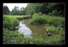 2009-06-20-21_Tycovina045.jpg