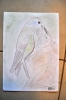 042-vzssst-10-04-2011.jpg