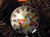 DSCN3640.jpg