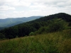 DSCN3643.jpg