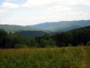 DSCN3644.jpg