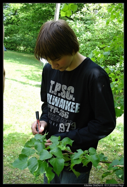 Klikněte pro zobrazení původního (velkého) obrázku