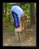 2009-05-08-10_Atletaky079.jpg