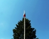 P1000910.jpg