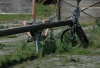 DSC_1379.jpg