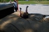043_atletika_13-05-2011.jpg