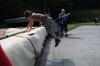 073_atletika_13-05-2011.jpg
