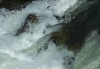 image_025.jpg