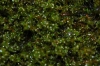 image_081.jpg