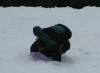 image_101.jpg