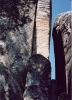 IMG04291214856A.jpg