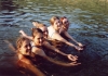 IMG04291215858A.jpg