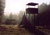 IMG04291215903A.jpg