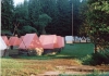 IMG04291220430A.jpg
