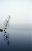 Ekoakce-07.jpg