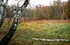Ekoakce-14.jpg